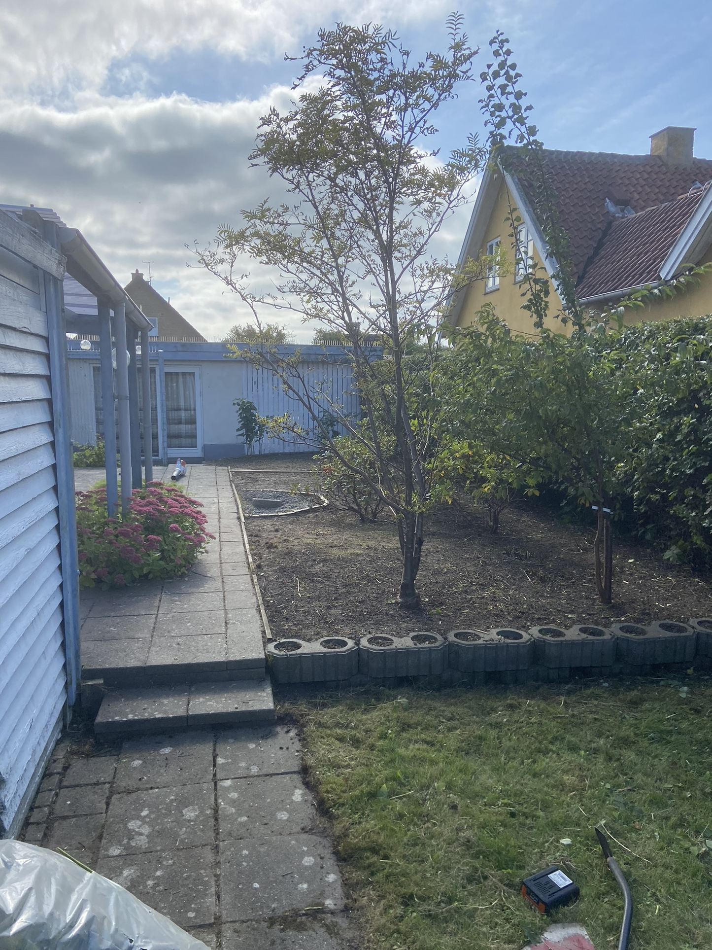 Ukrudtsbekæmpelse fra 30 kr. pr. kvm