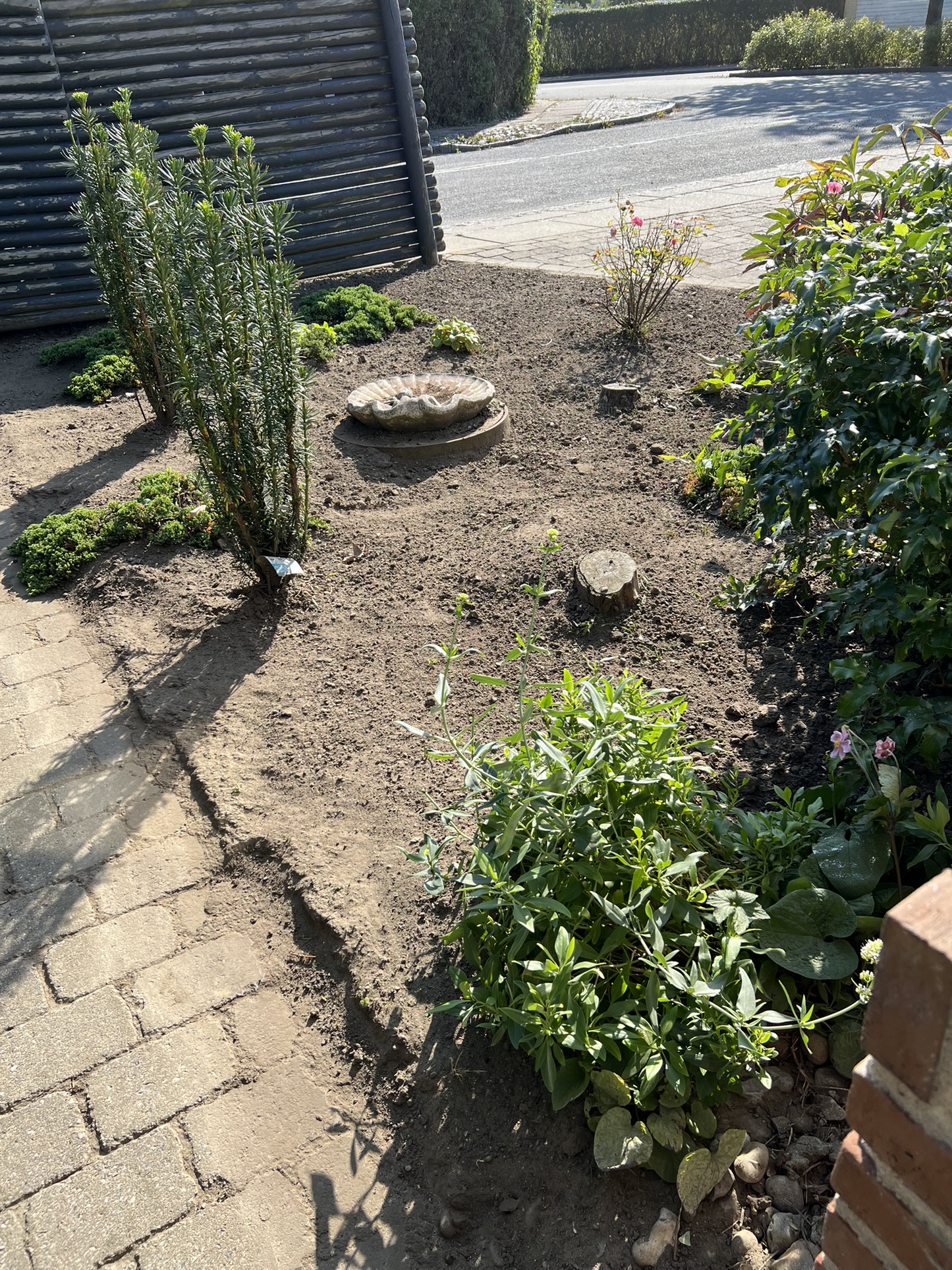 Ukrudtsbekæmpelse fra 30 kr. pr. kvm