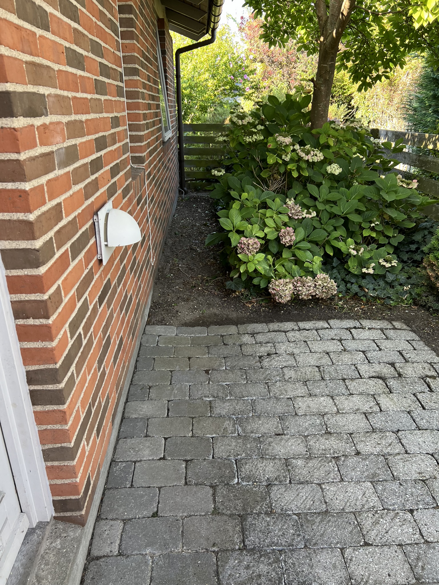 Ukrudtsbekæmpelse fra 30 kr. pr. kvm