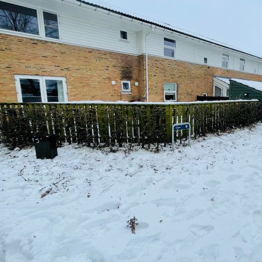 Bøgehæk beskæring i februar – professionelt udført i Albertslund