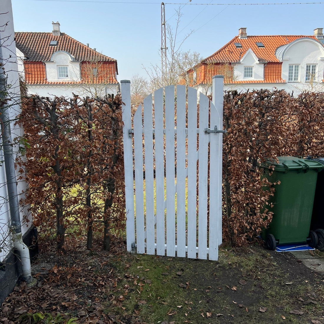 Kraftig beskæring af bøgehæk og træer på Frederiksberg – marts 2026 🌿✂️