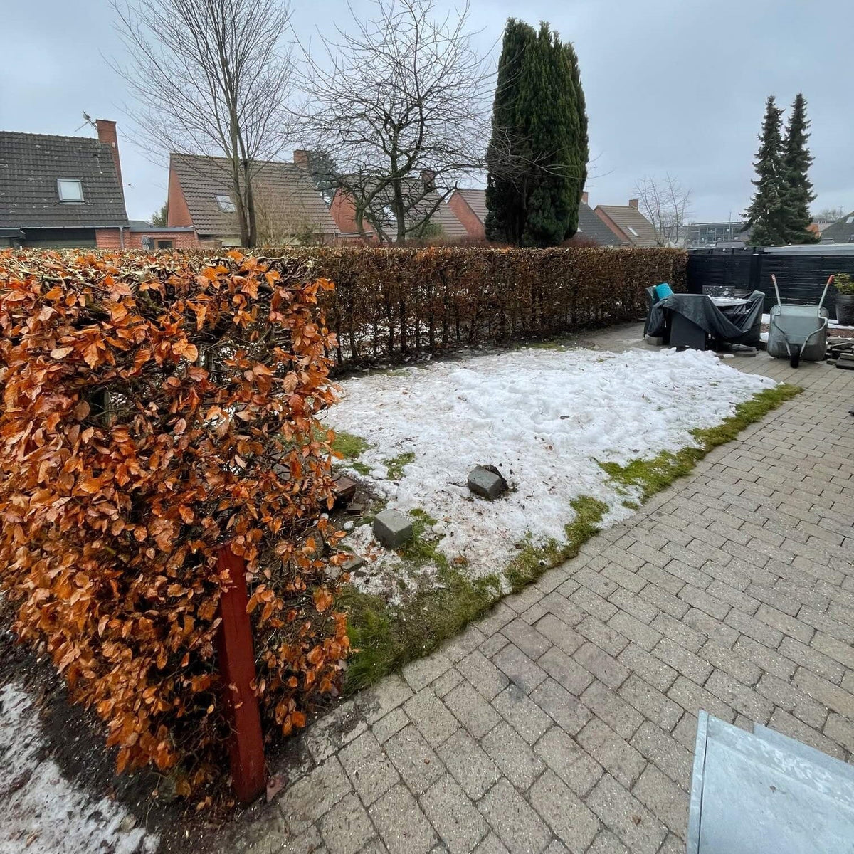 Hæk beskæring i Taastrup – professionel bøgehæk klippet i februar