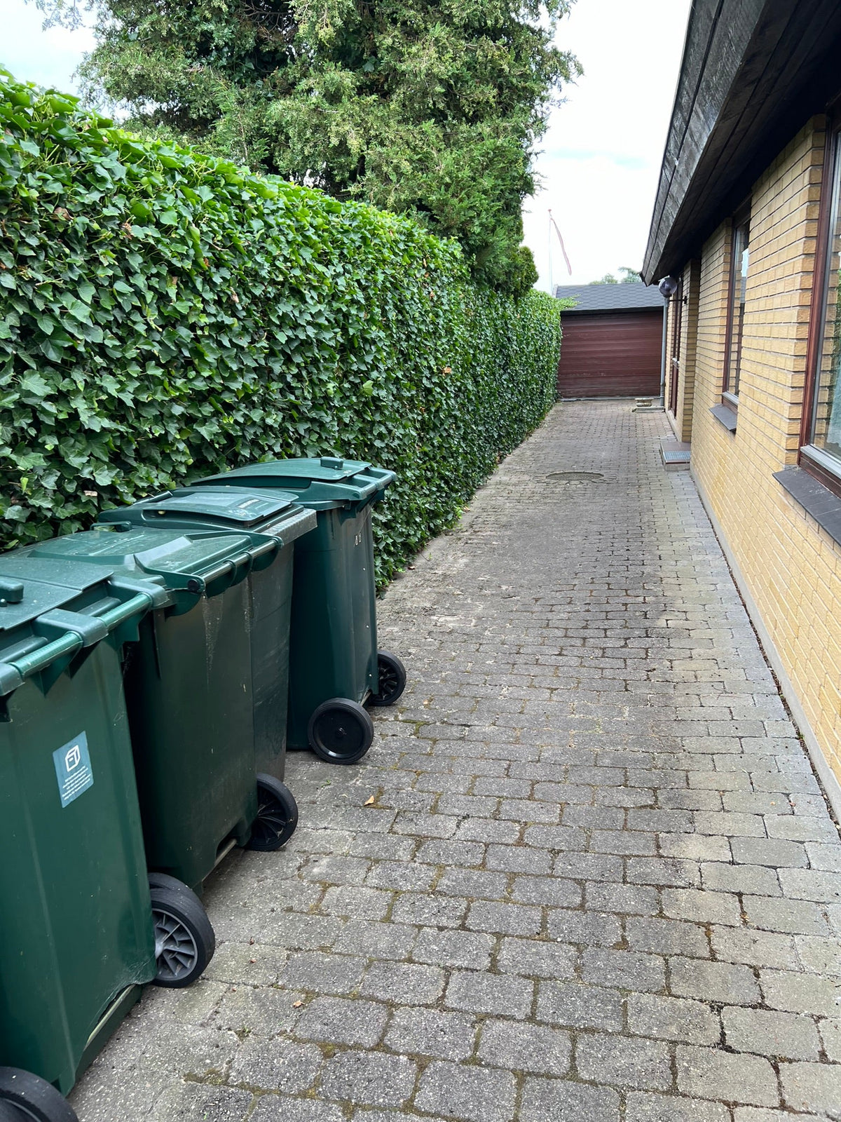 Bestil hækklipning
