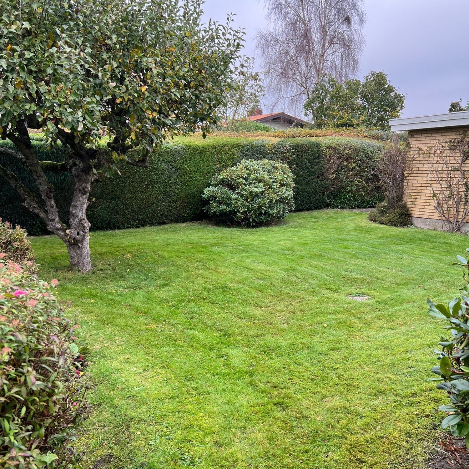 Hjælp til havearbejde for pensionister