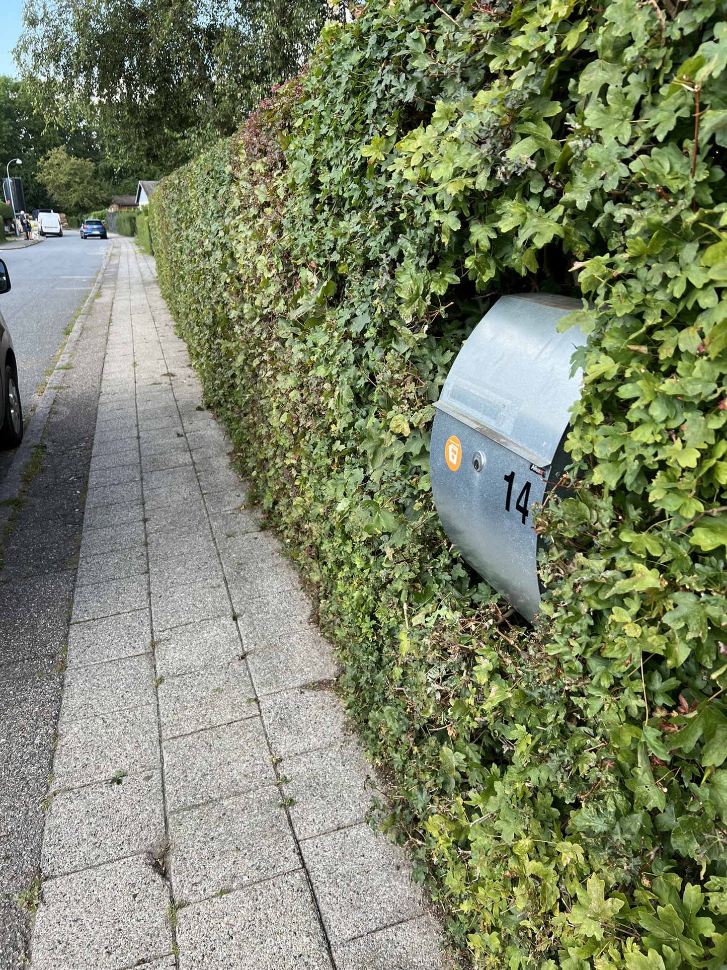 Hækklipning fra 30 kr. pr. meter ➤ Inkl. bortkørsel af afklip